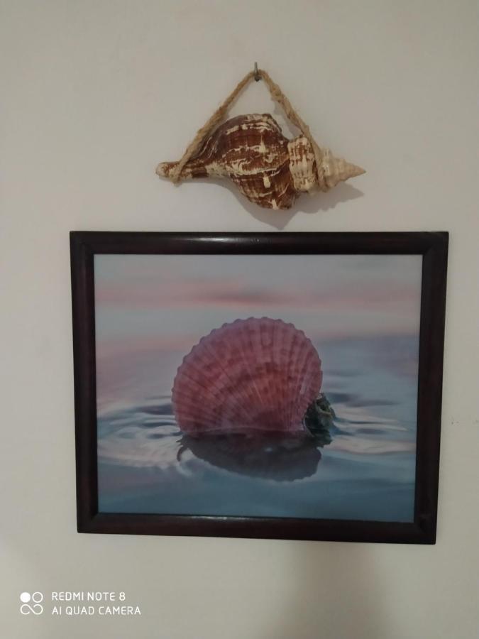 Casa Ohana-Disfruta Del Paraiso Isla Holbox 外观 照片