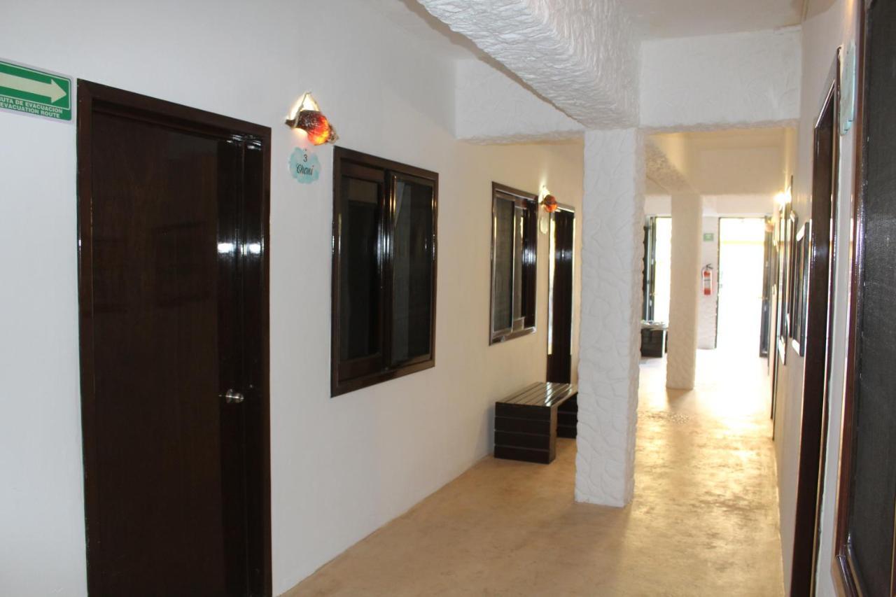 Casa Ohana-Disfruta Del Paraiso Isla Holbox 外观 照片