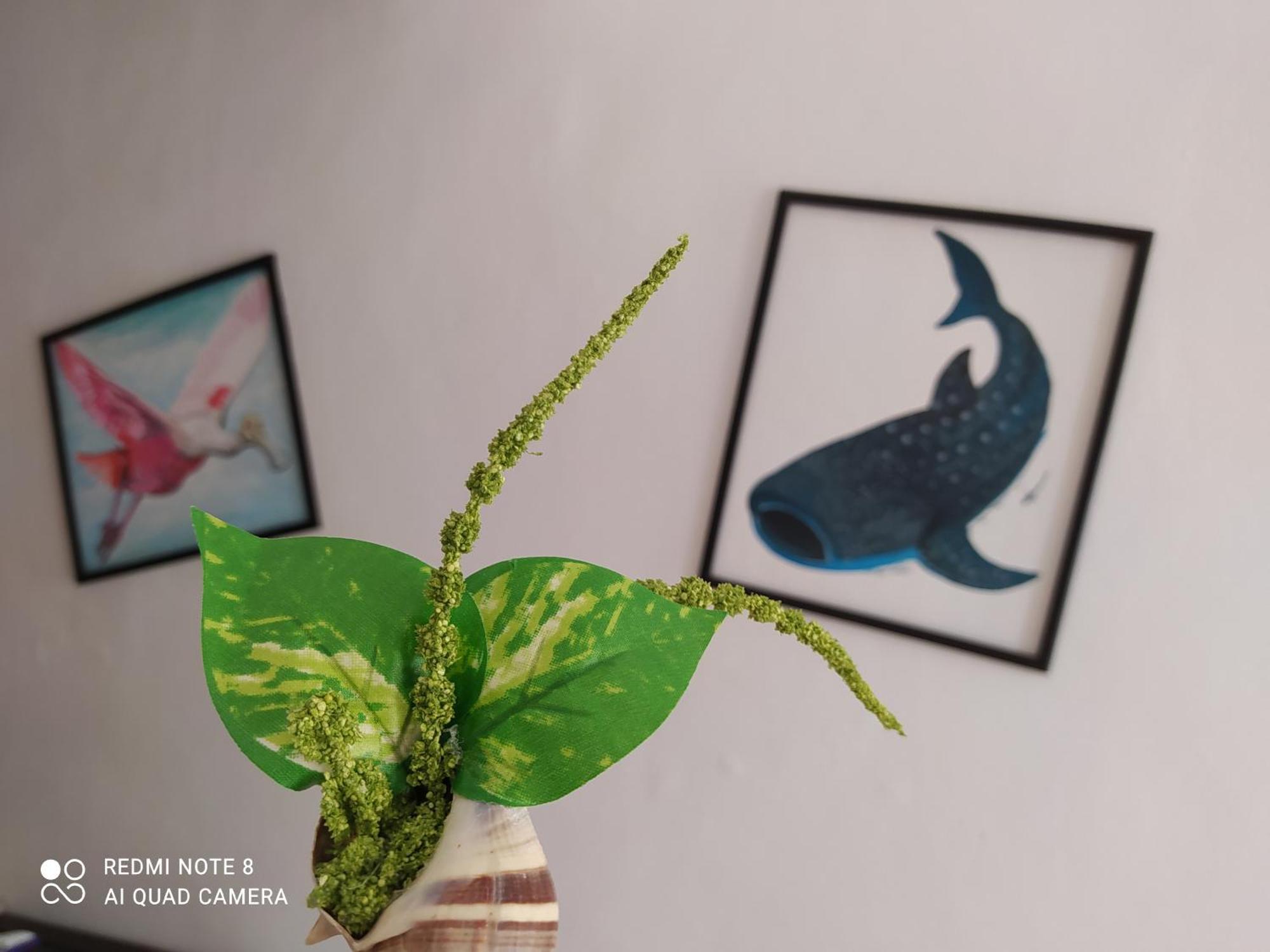 Casa Ohana-Disfruta Del Paraiso Isla Holbox 外观 照片