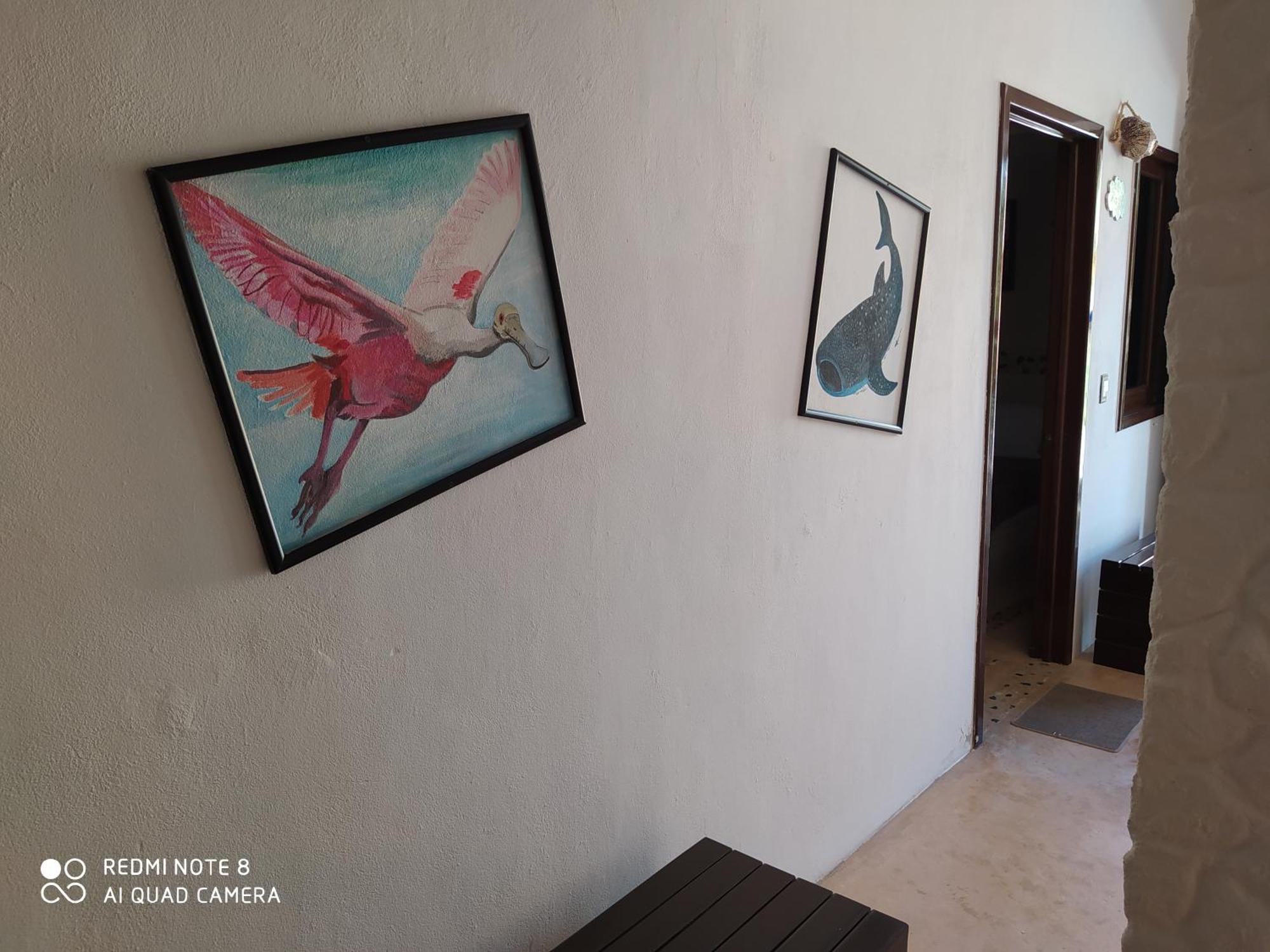 Casa Ohana-Disfruta Del Paraiso Isla Holbox 客房 照片